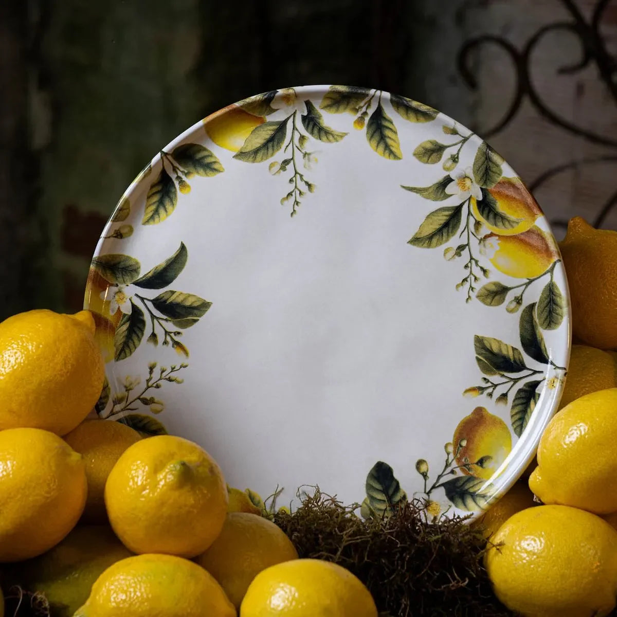 Conjunto 6 Pratos Rasos Rhovella Maison Limone d'Oro Porcelana Orgânica Luxo