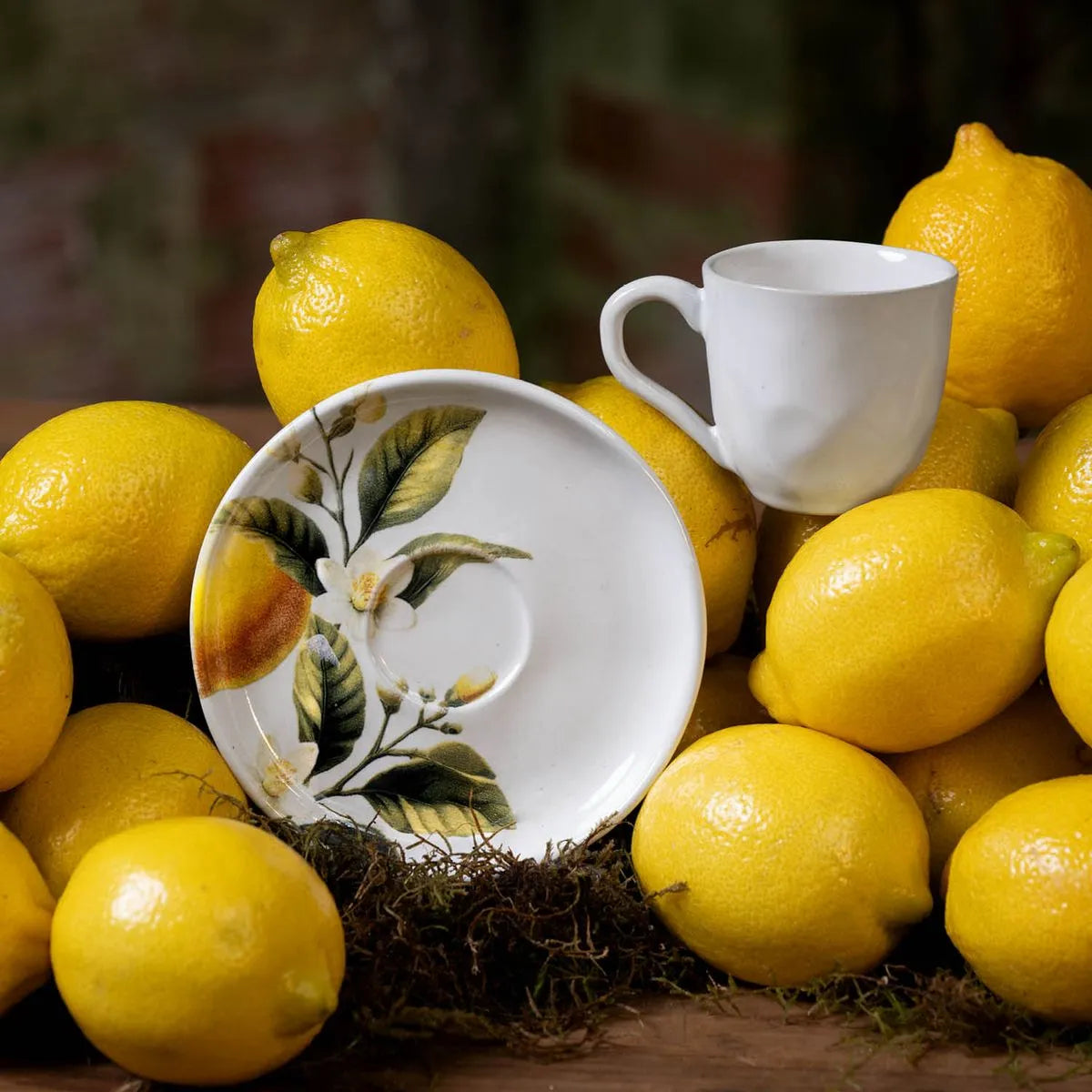 Conjunto Com 6 Xícaras De Café E 6 Pires Limone d’Oro Rhovella Maison