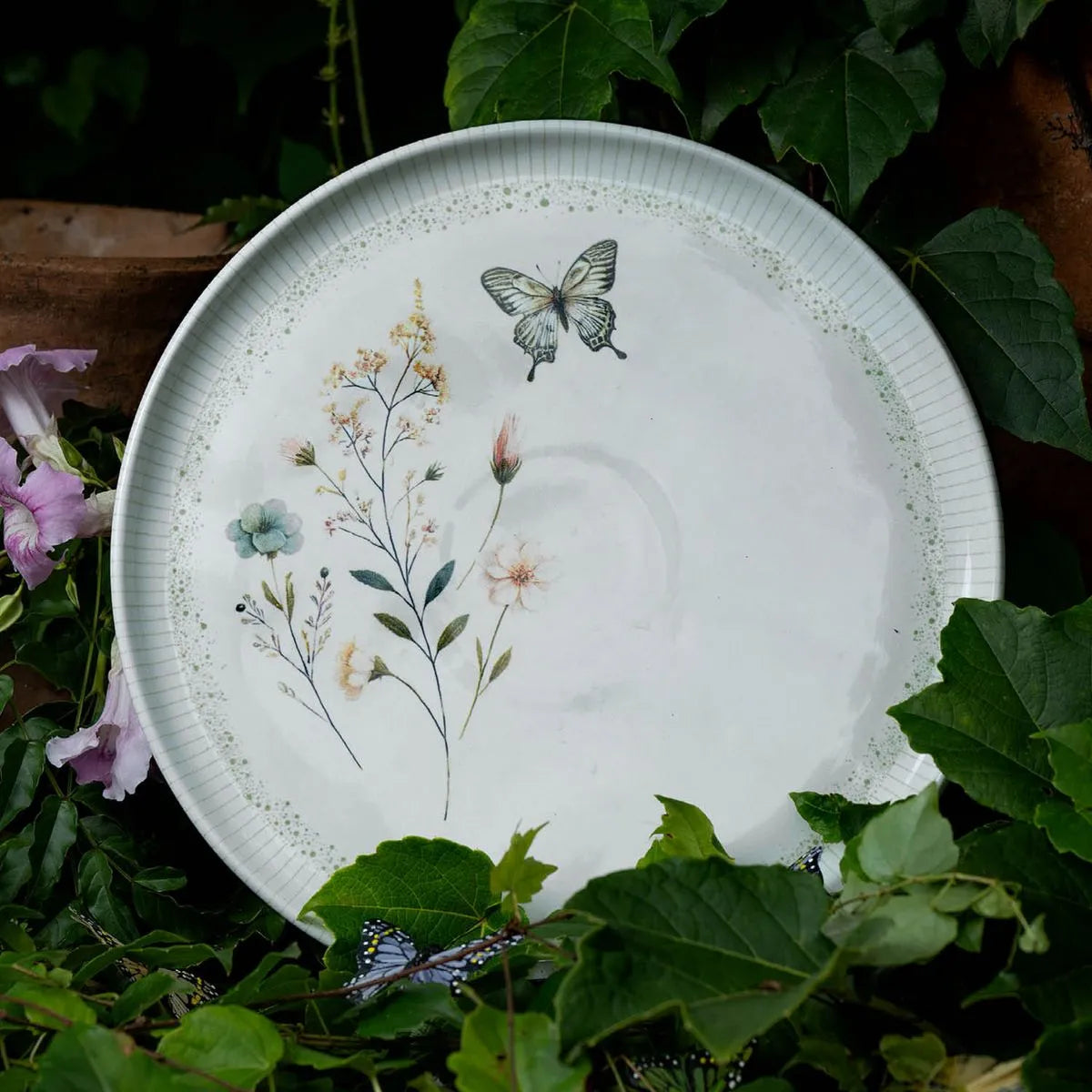 Conjunto Com 6 Pratos Rasos Vento & Véu Rhovella Maison