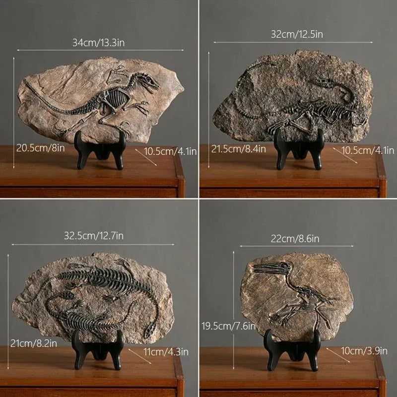 Estátua Criativa de Fóssil de Dinossauro Rhovella Maison